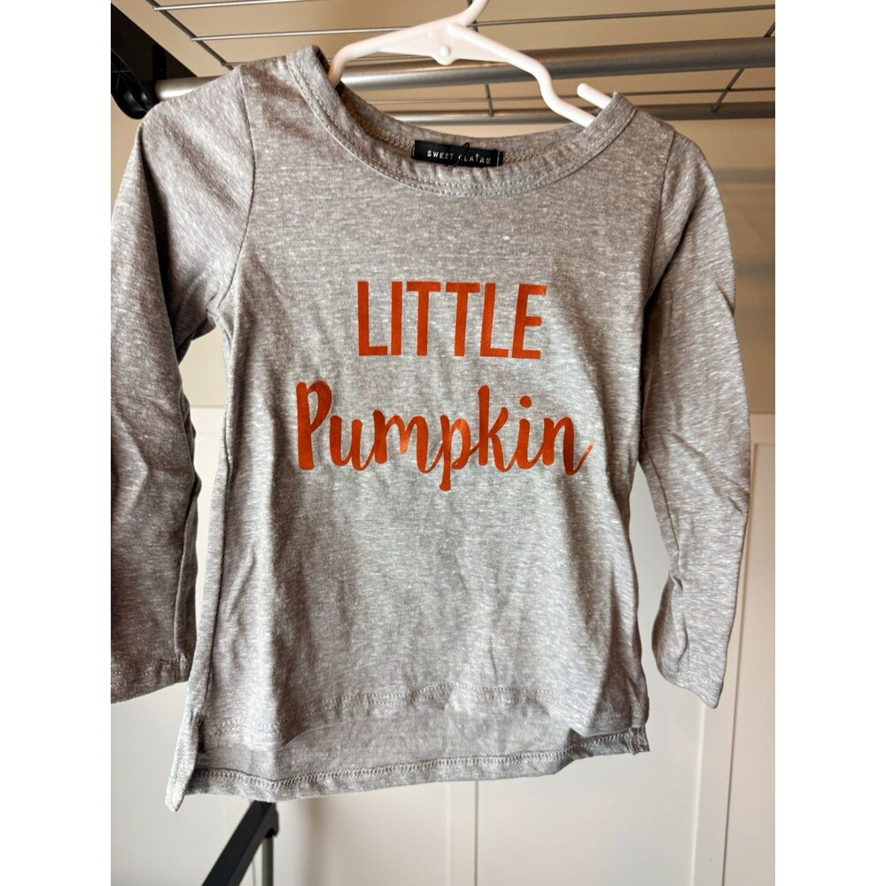 Sweet Claire Little Pumpkin Graphic Long Sleeve Crew Neck Cotton Tee 2T Gray